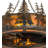 Janai 30'' Ceiling Fan with Light Kit
