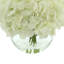 Hydrangea In Glass Vase