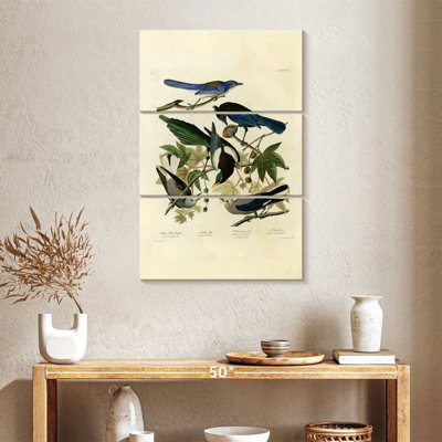 Assiette 362 d'oiseaux d'Amérique