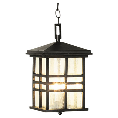 Lanterne suspendue d'extérieur à 2 ampoules Calloway H 15,5 po