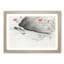 Pink Flowers & Insect by the River by Ohara Koson - Framed Print-55768705-55768709