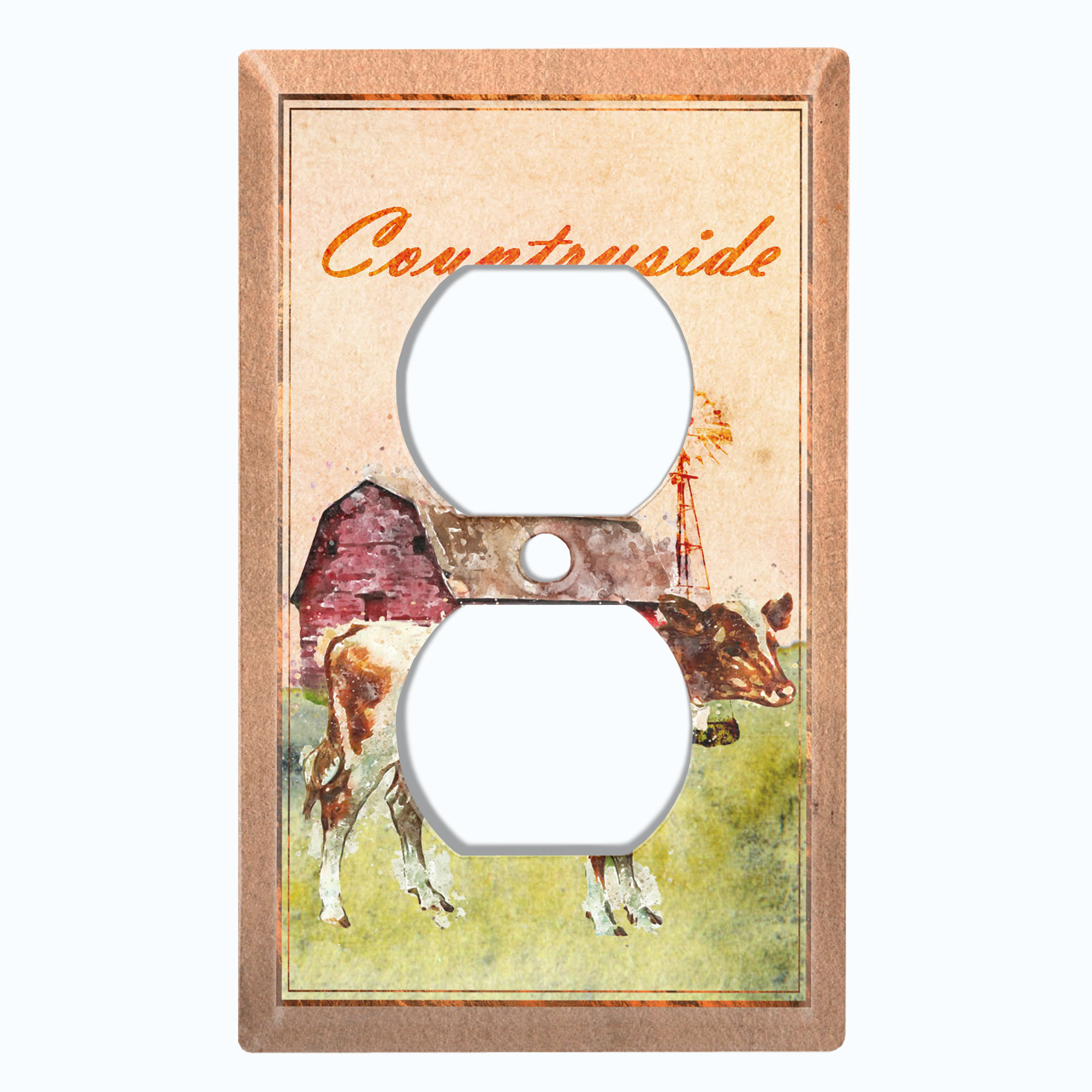 WorldAcc Metal Light Switch Plate Outlet Cover ( For Kitchen - Single ...