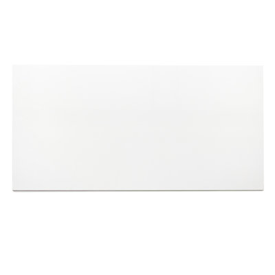 Brighten 24" x 48" Polished Porcelain Wall & Floor Tile