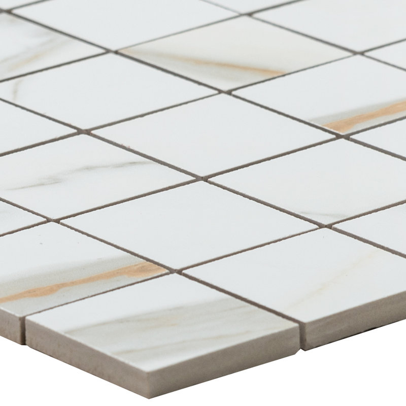 Carreau de mosaïque de plancher et de mur en porcelaine mate 2 po x 2 po Chronos