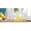 Glacière Oolitic 17 oz. Verre Highball