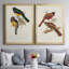Toile encadrée de qualité supérieure Elegant Trogons III - prête à être accrochée-1080235504-1080235407