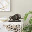 Antu Polystone Distressed Textured Bull Decorative Black Sculpture with Gold Accents