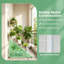 4 Tier Plant Stand