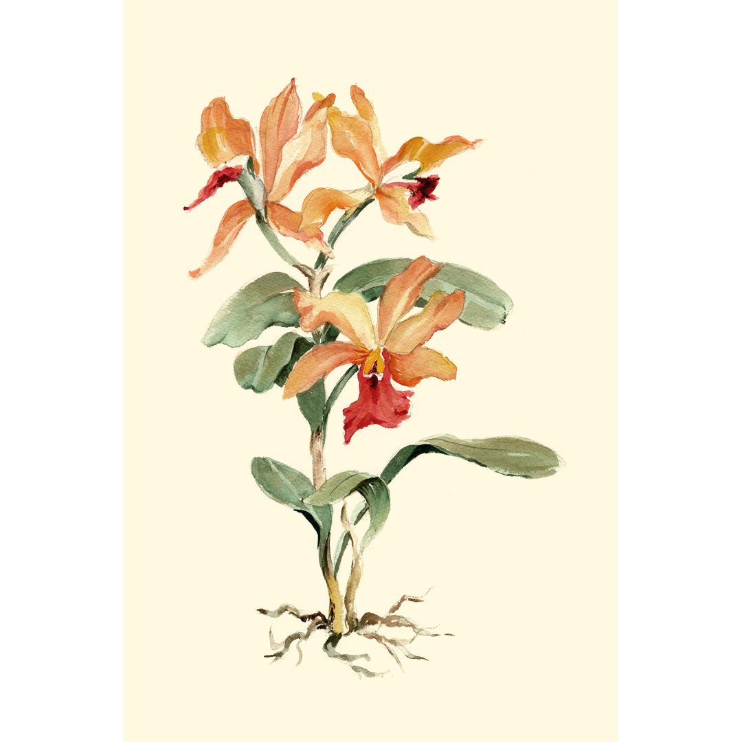 Orange Orchid by Joy Waldman - Wrapped Canvas Print