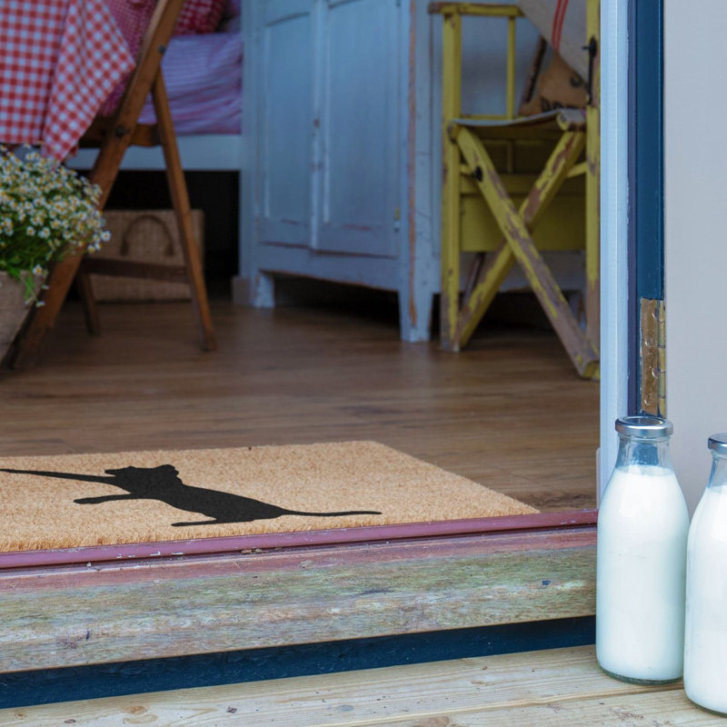 Adella Non-Slip Indoor Doormat
