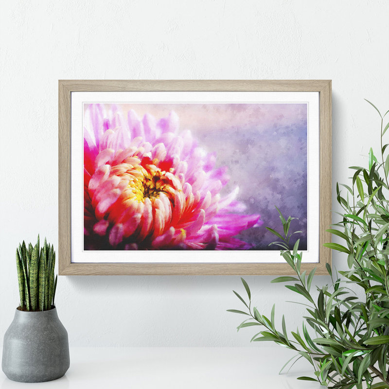 Pink Chrysanthemum Flower - Framed Print, 36cm H x 48cm W x 2cm D, Oak Framed