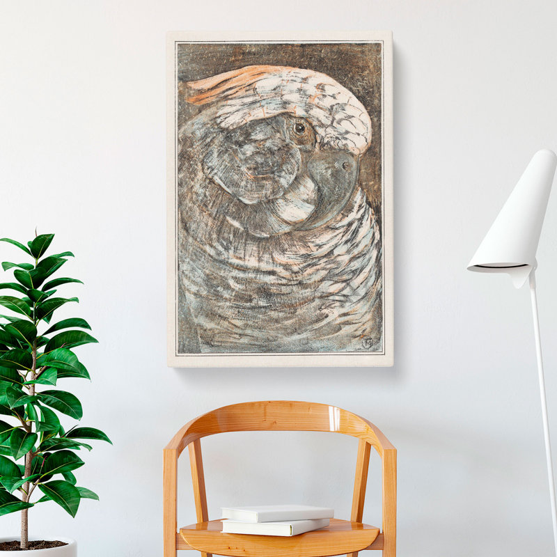 Head Of A Parrot by Theo Van Hoytema - Wrapped Canvas, 60cm H x 40cm W x 3cm D