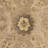 Tingley Hand Tufted Wool Pile Oriental Rug-1322457711