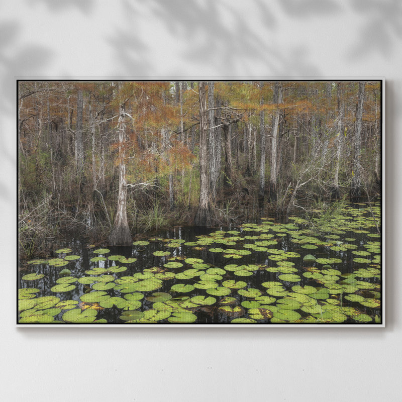 " Bayou Fall ", White, 25" H x 37" W x 2" D