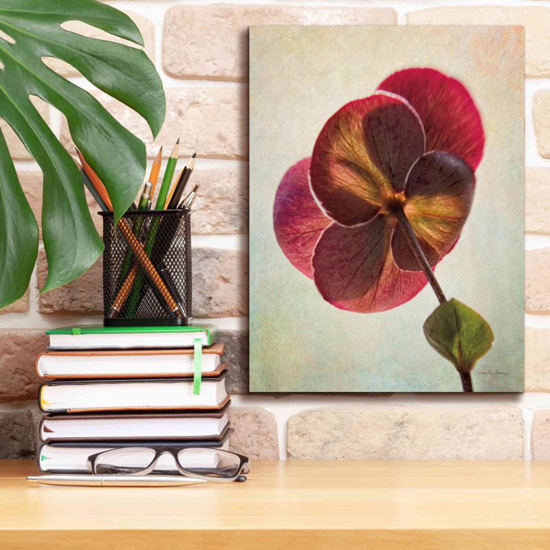 «Epic Graffiti» «Lenton Rose II» par Debra Van Swearingen, art mural sur toile, 12 po x 16 po