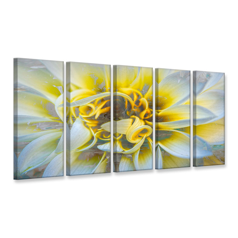 « painted pétales xxxvii », ensemble de 5 reproductions d’impressions sur toiles tendues
