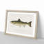 Atlantic Salmon by Sherman F. Denton - Framed Print-55456800-55456801