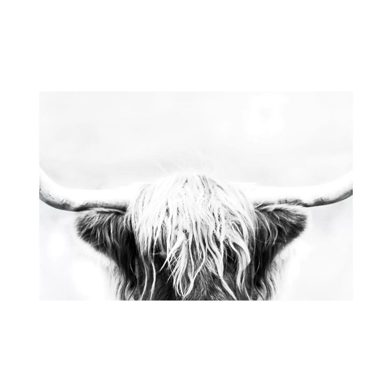 Longhorn 1 Piece Wall Art on Canvas, 30.48cm H x 45.72cm W x 1.91cm D, Wrapped Canvas