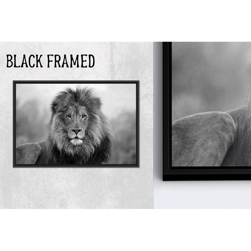Élégante œuvre d'art sur toile imprimée d'un animal sauvage: pièce de décor majestueuse, toile noire encadrée 1P