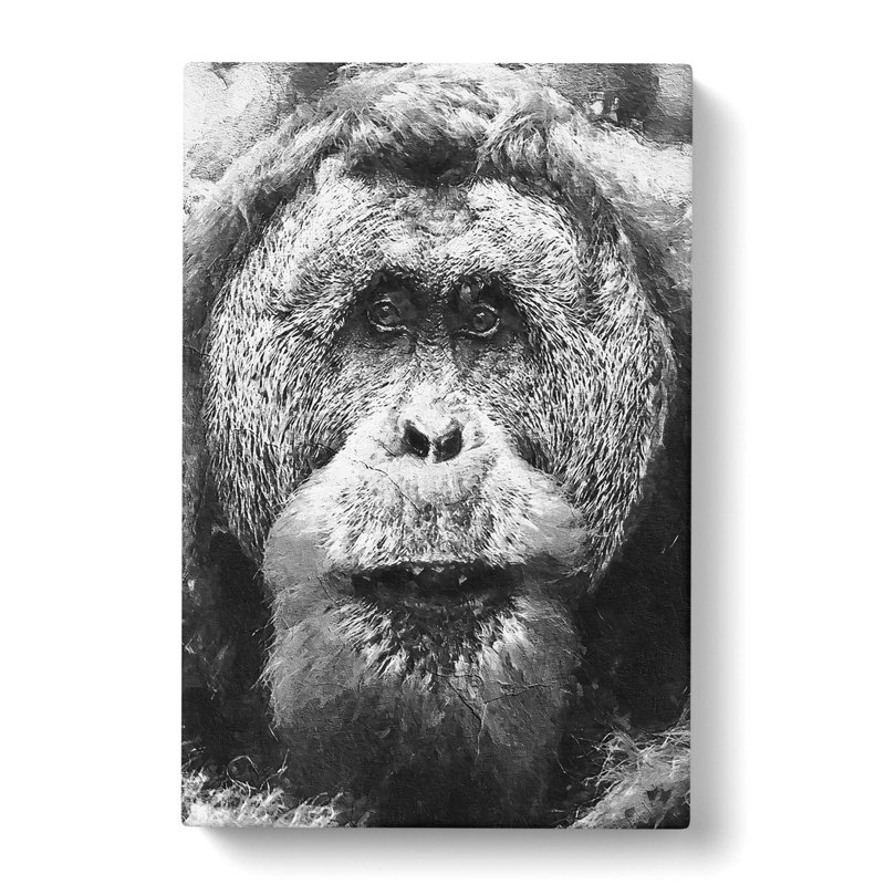 Orangutan - Wrapped Canvas Print, 91cm H x 60cm W x 3cm D