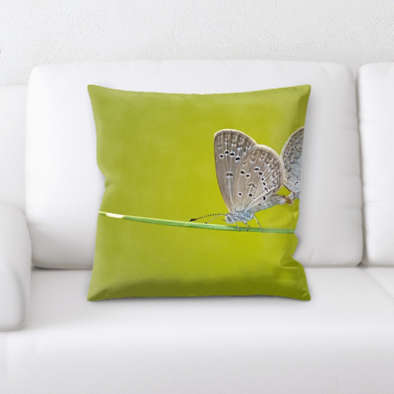 Housse et insert de coussin carré papillon