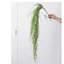 Branche de roseau en cascade - 37,4 po-1561535449-1561535443