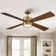 Camran 52'' Ceiling Fan with LED Lights