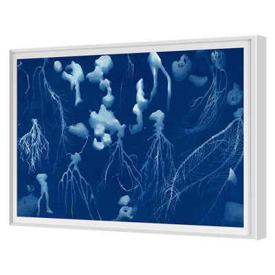 Cyanotype 4 Print by Allison Svoboda