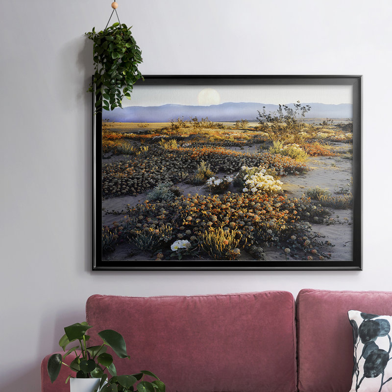 Anza Borrego Desert, reproduction d'art sur toile, H 30 po x l 44 po x P 1,5 po, Noir