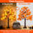 2 Pack 24 Inch Prelit Fall Maple Tree Thanksgiving Decorations With 48 LED Lights