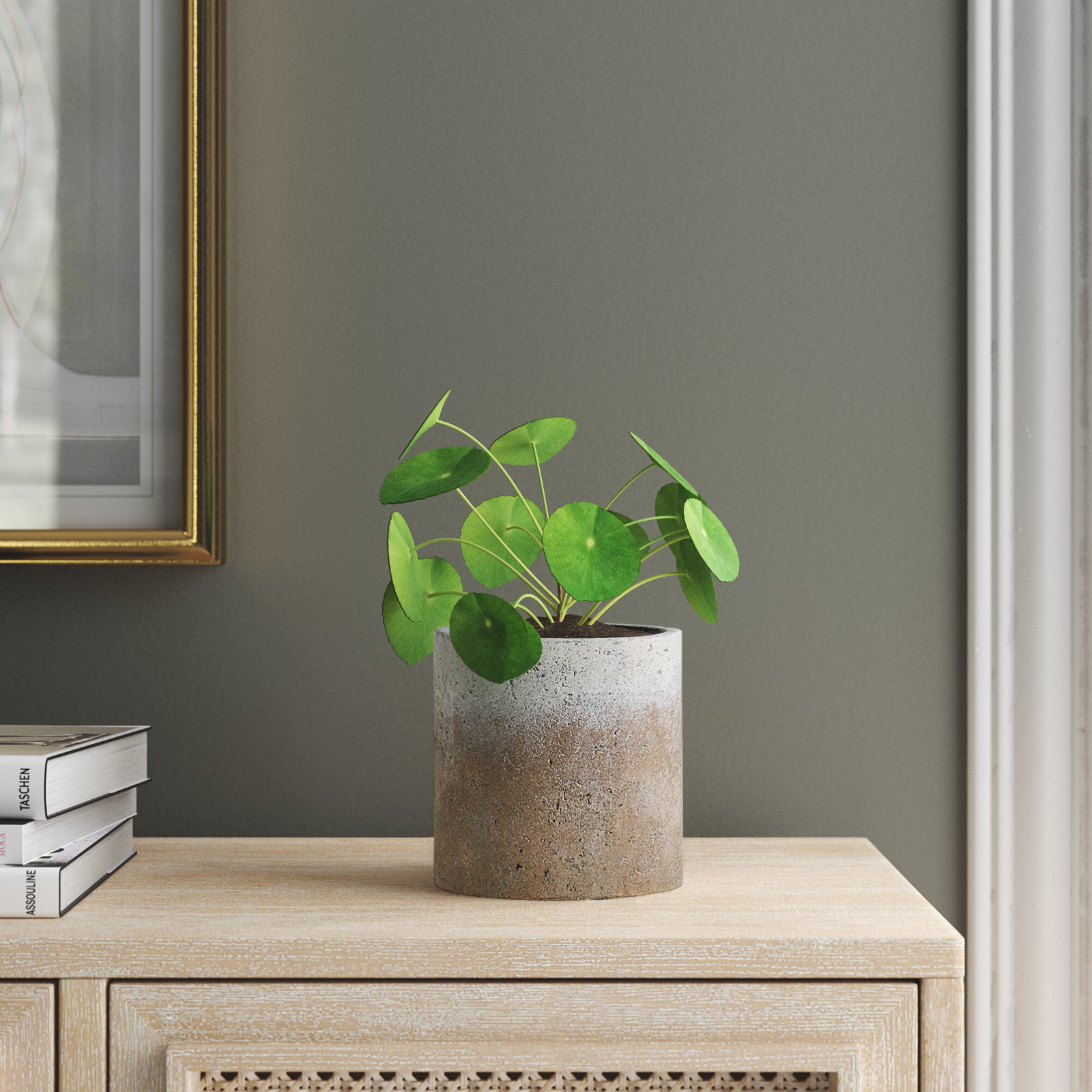 Concrete Pot Planter, 5.25"H x 5.25" W x 5.25"D