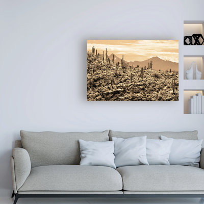 «Arizona Mountains» par Mitch Catanzaro, reproduction de photo sur toile