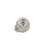 Shoaf Porcelain Ceramic Shell Decorative Sculpture Set-149688753