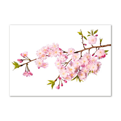 Wild Rose - Wrapped Canvas Print