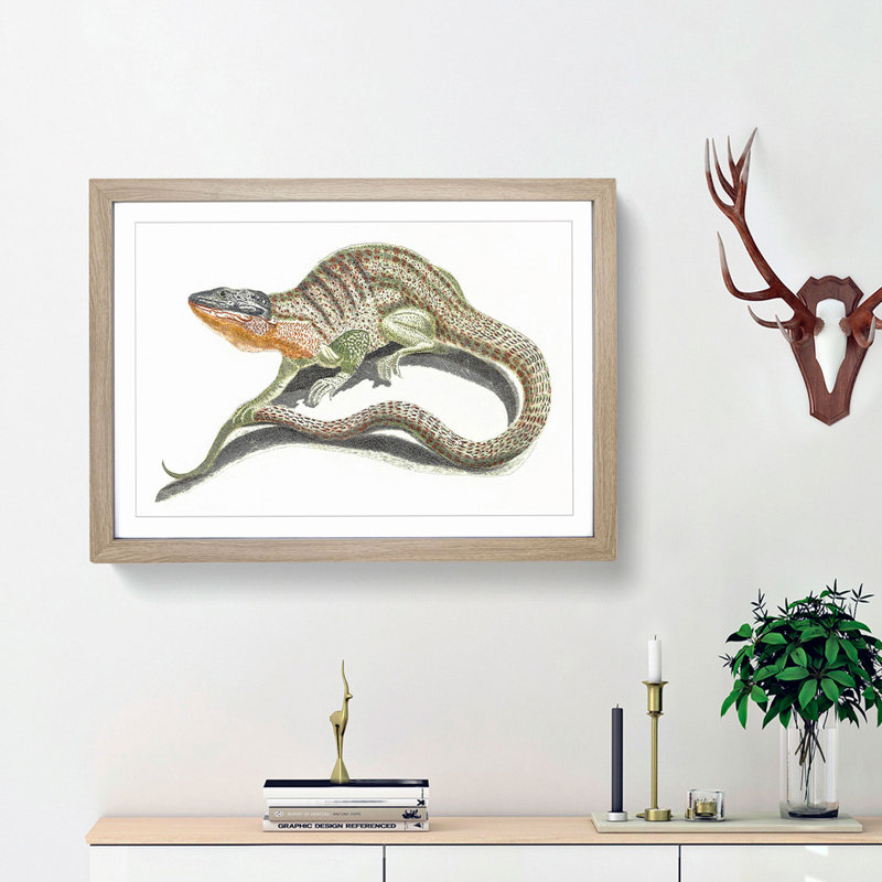 Lizard by Johan Teyler - Picture Frame Painting Print, 36cm H x 48cm W x 2cm D, Oak Framed