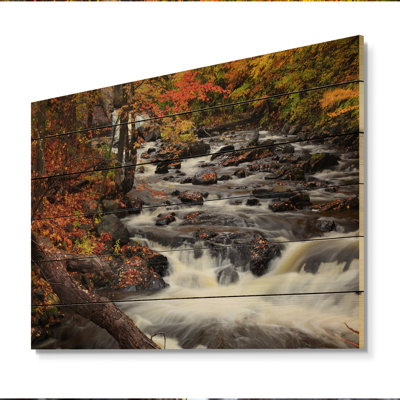 Chutes d'eau dans la forêt d'automne - Peinture sur bois sans cadre
