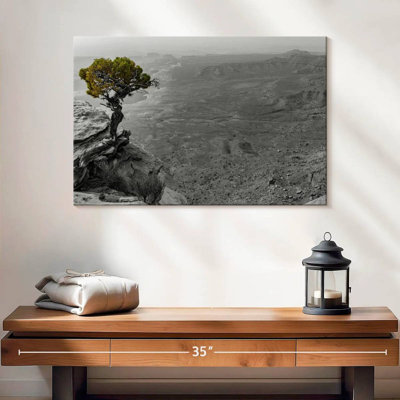 Harnek Canyonlands Lone Tree