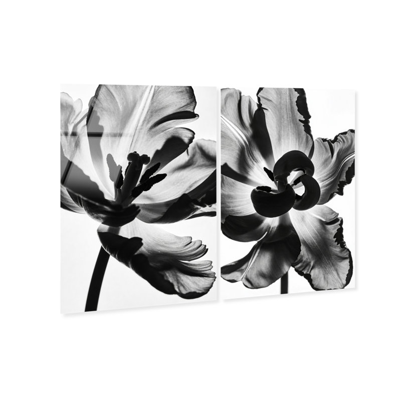 Close Up Set Set by Oliver Gal, 15" H x 10" W, High-Gloss Acrylic Print