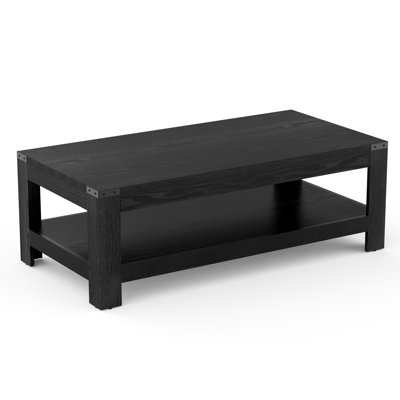 Damika Rectangular Coffee Table with 2-Tier Storage