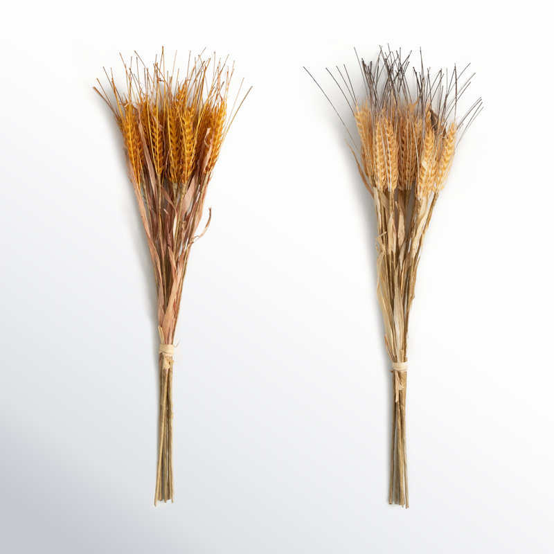 22.5" Artificial Neutral Fall Wheat Bundle Set of 2, Brown