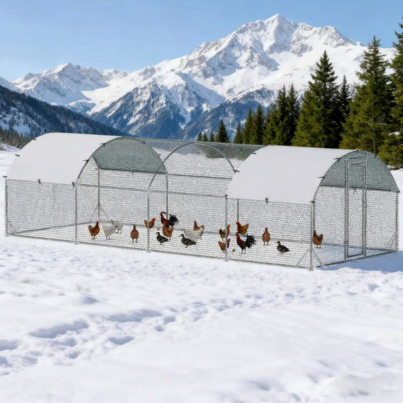 Grand poulailler en métal pour cour, extérieur, canard, lapin