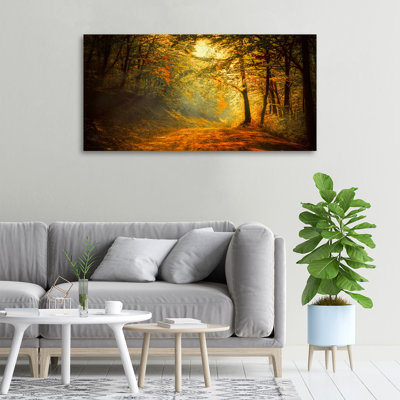 Autumn Forest - No Frame Print on Canvas
