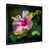 Black Picture Framed Canvas selected
