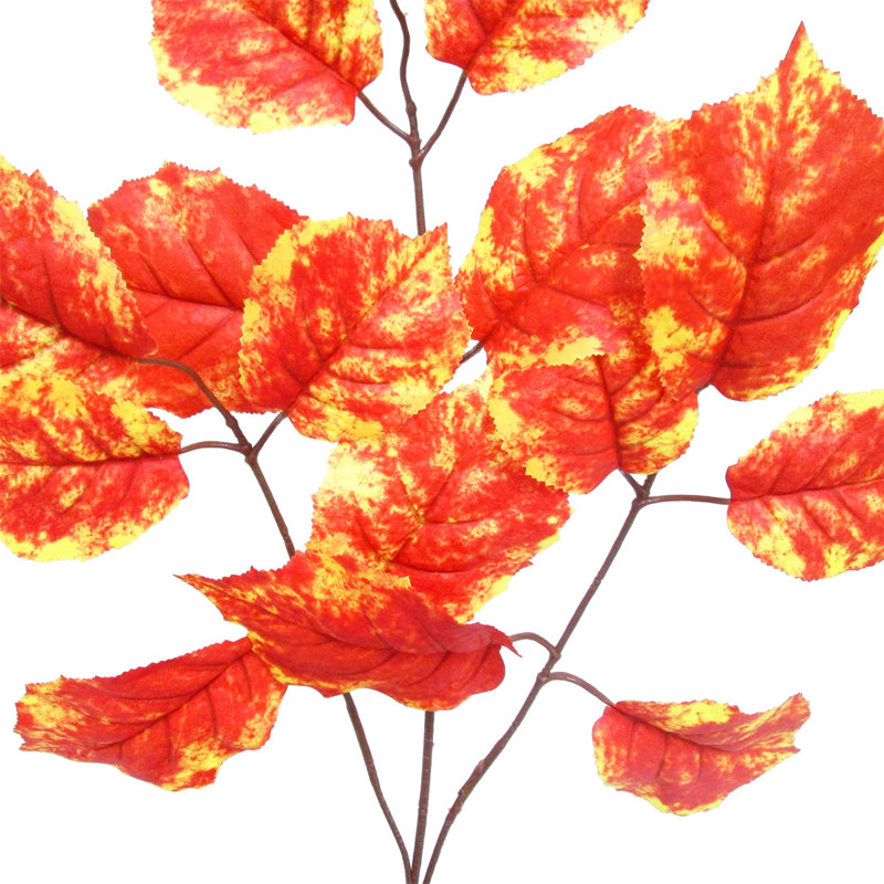 Branche de noisette, Orange / Jaune