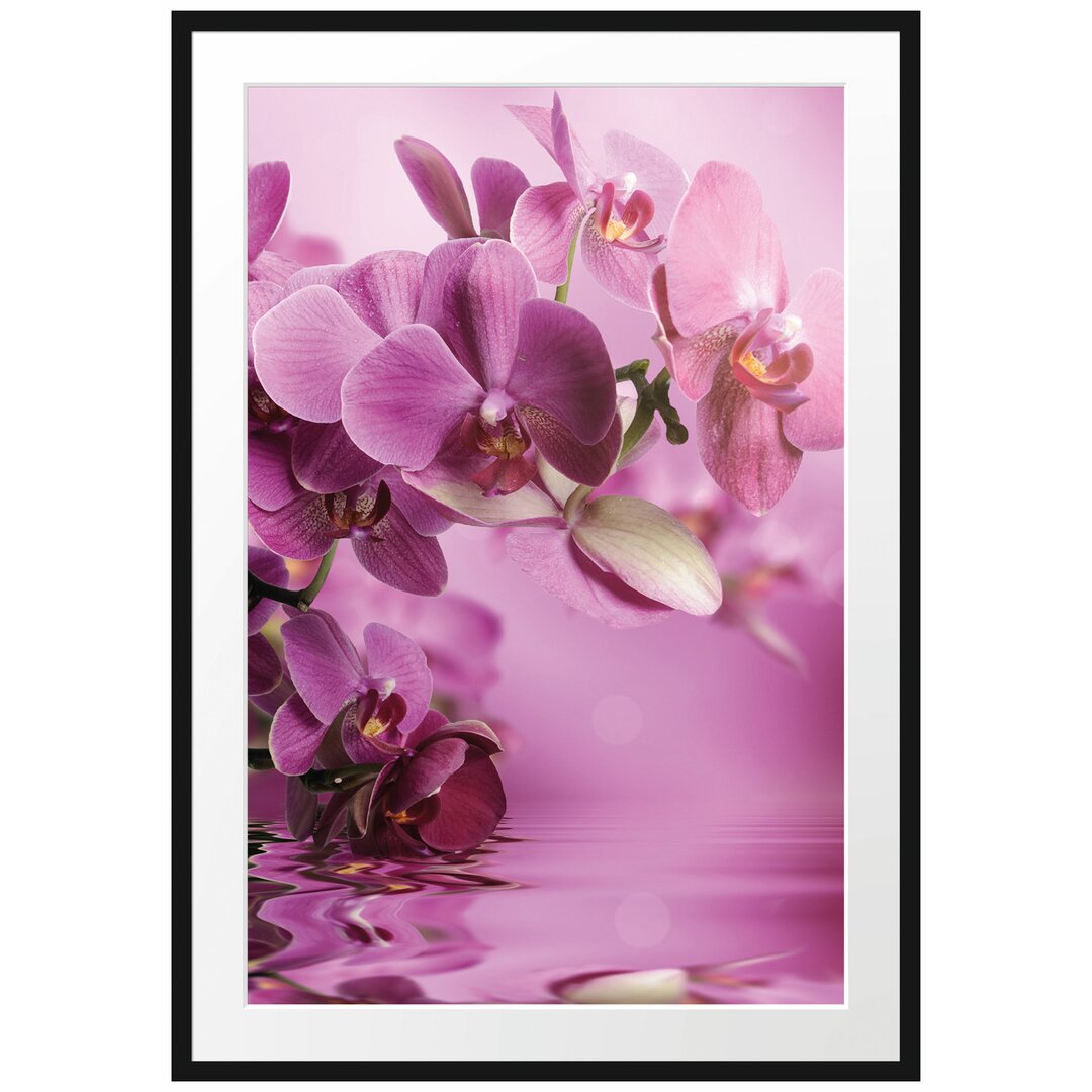 Gerahmtes Poster Wunderschöne Orchideenblüten