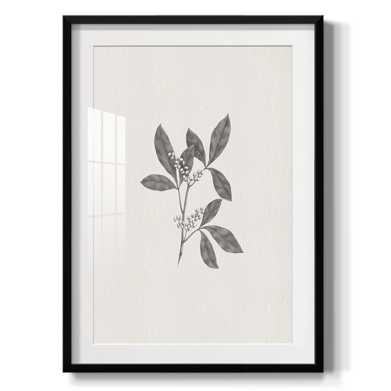 Vintage Sketch XCVIII -Framed Print