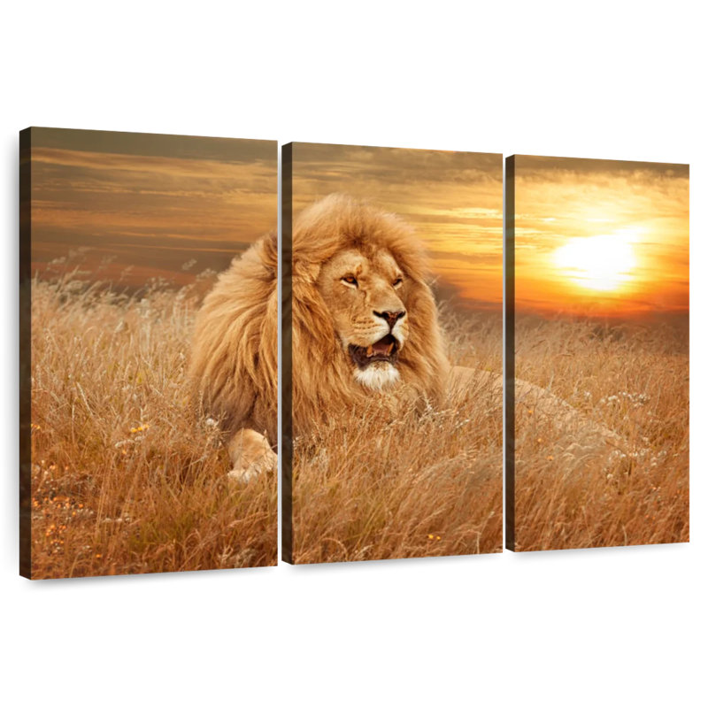 Coucher de soleil lion, H 48 po x l 74 po
