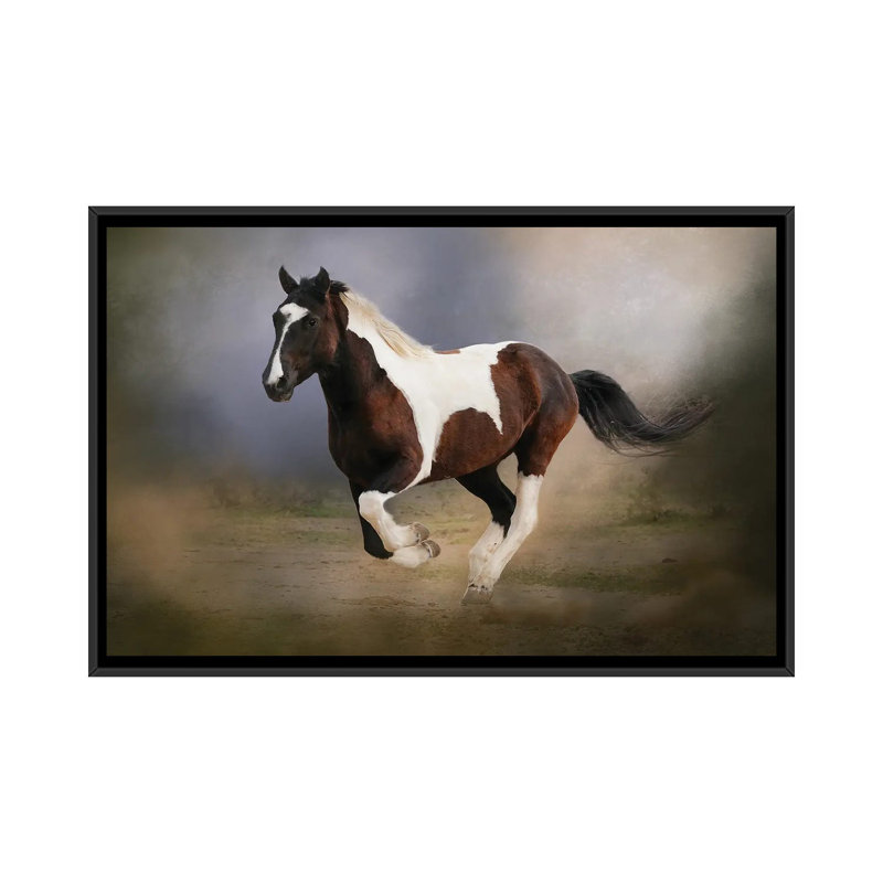 A Run Through The Mist by Rhonda Thompson - Floater Frame Print on Canvas