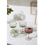 Rosetta Coupe Set