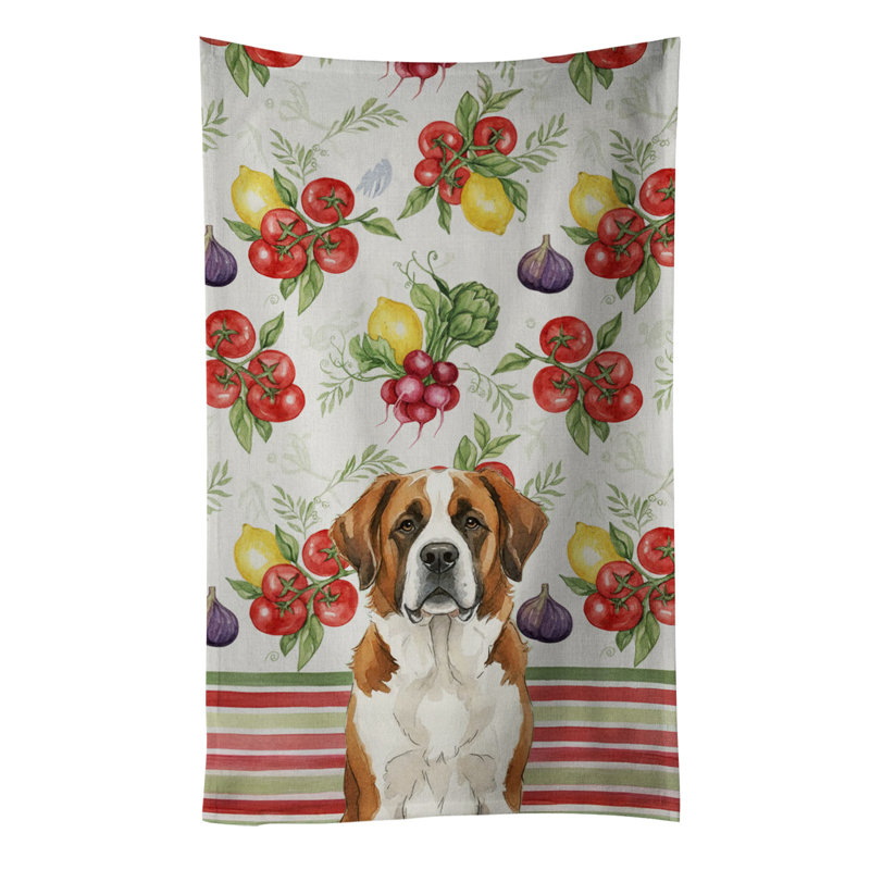 Torchon brun et blanc Saint Bernard, Brown/White Saint Bernard